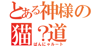 とある神様の猫？道（ぱんにゃルート）