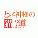 とある神様の猫？道（ぱんにゃルート）