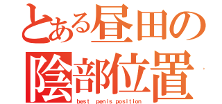 とある昼田の陰部位置（ｂｅｓｔ 　ｐｅｎｉｓ　ｐｏｓｉｔｉｏｎ）