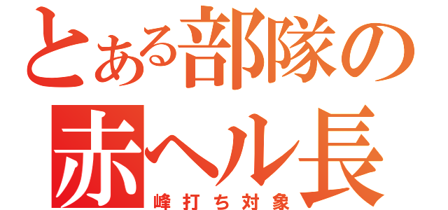 とある部隊の赤ヘル長（峰打ち対象）