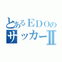 とあるＥＤＯのサッカーばかⅡ（）