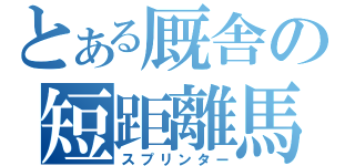 とある厩舎の短距離馬（スプリンター）