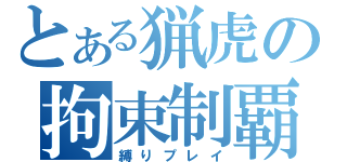 とある猟虎の拘束制覇（縛りプレイ）