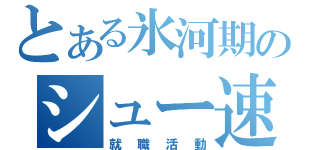 とある氷河期のシュー速！（就職活動）