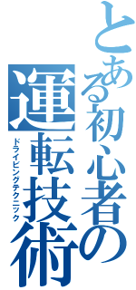 とある初心者の運転技術（ドライビングテクニック）