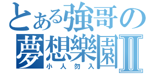 とある強哥の夢想樂園Ⅱ（小人勿入）