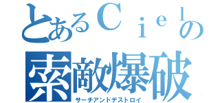 とあるＣｉｅｌの索敵爆破（サーチアンドデストロイ）