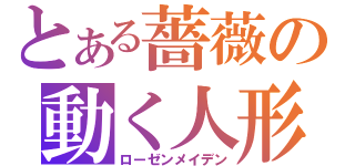 とある薔薇の動く人形（ローゼンメイデン）