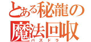 とある秘龍の魔法回収（パズドラ）