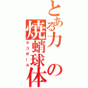 とある力の焼蛸球体（タコボール）