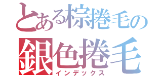 とある棕捲毛の銀色捲毛（インデックス）