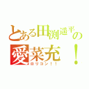 とある田渕遥平の愛菜充！！（ロリコン！！）