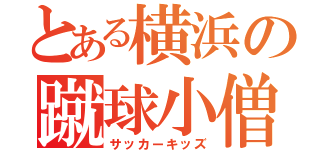 とある横浜の蹴球小僧（サッカーキッズ）