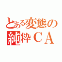 とある変態の純粋ＣＡＳ（）