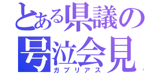 とある県議の号泣会見（ガブリアス）