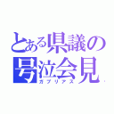 とある県議の号泣会見（ガブリアス）