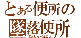 とある便所の墜落便所（ぼっとんべんじょ）