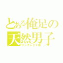 とある俺足の天然男子（ツンデレ王子様）