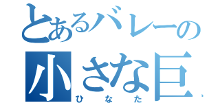 とあるバレーの小さな巨人（ひなた）