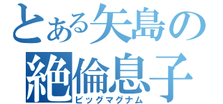 とある矢島の絶倫息子（ビッグマグナム）