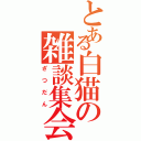 とある白猫の雑談集会（ざつだん）