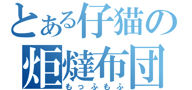 とある仔猫の炬燵布団（もっふもふ）