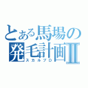 とある馬場の発毛計画Ⅱ（スカルプＤ）