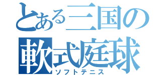 とある三国の軟式庭球（ソフトテニス）