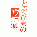 とある香束のウニ頭（天体観測）