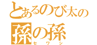 とあるのび太の孫の孫（セワシ）