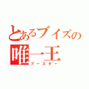 とあるブイズの唯一王（ブースター）