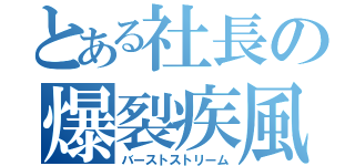 とある社長の爆裂疾風弾（バーストストリーム）