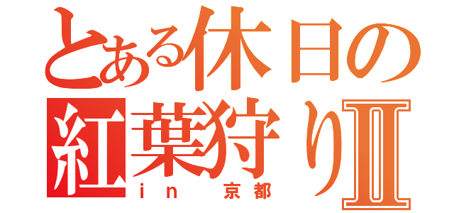 とある休日の紅葉狩りⅡ（ｉｎ 京都）