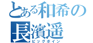 とある和希の長濱遥（ビッグボイン）