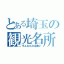 とある埼玉の観光名所（そんなものは無い）