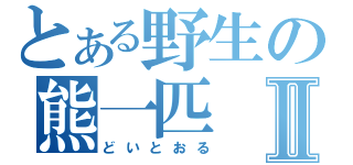 とある野生の熊一匹Ⅱ（どいとおる）