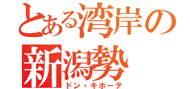 とある湾岸の新潟勢（ドン・キホーテ）