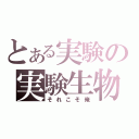 とある実験の実験生物（それこそ俺）