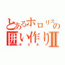 とあるホロリスの囲い作りⅡ（求む女）