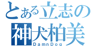 とある立志の神犬柏美（ＤａｍｎＤｏｇ）