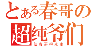 とある春哥の超纯爷们（信春哥得永生）