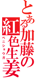 とある加藤の紅色生姜（ベニショウガ）