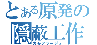 とある原発の隠蔽工作（カモフラージュ）