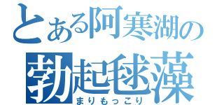 とある阿寒湖の勃起毬藻（まりもっこり）