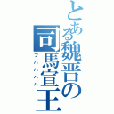 とある魏晋の司馬宣王（フハハハハ）