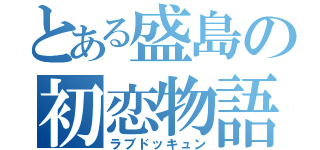 とある盛島の初恋物語（ラブドッキュン）