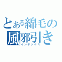 とある綿毛の風邪引き（インデックス）