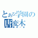 とある学園の唐変木（織斑一夏）