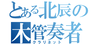 とある北辰の木管奏者（クラリネット）