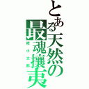 とある天然の最魂攘夷（桂小太郎）